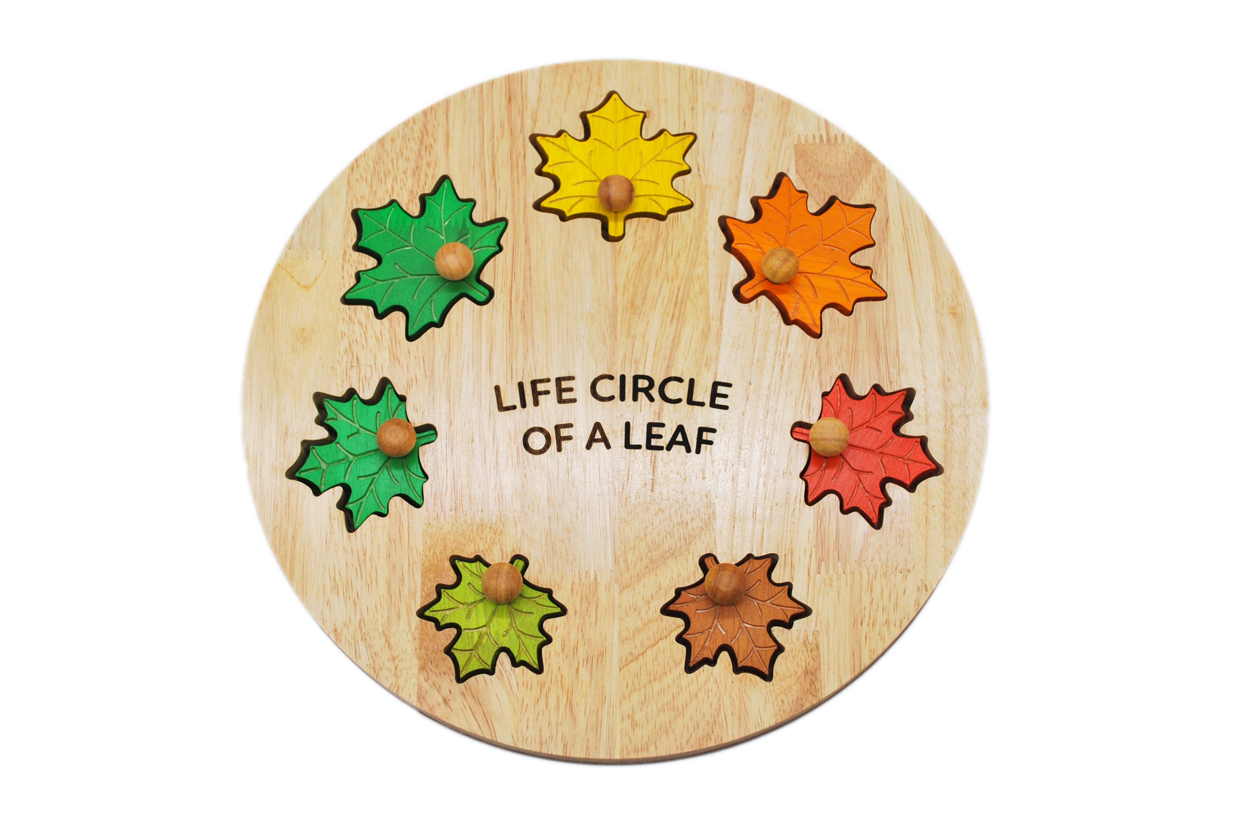 Qtoys Learn Leaf Circle Of Life Puzzle - Nice Tribe